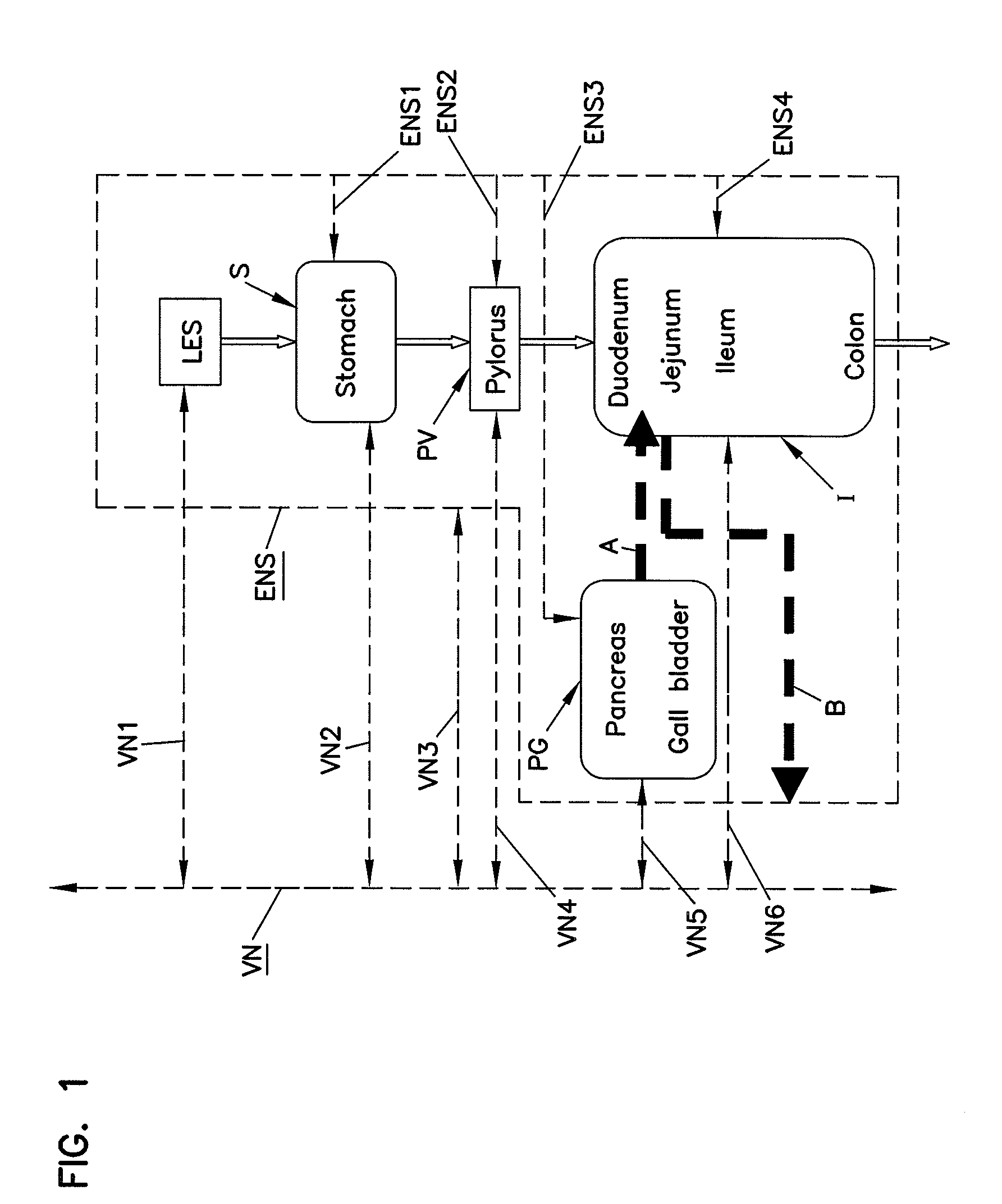 Methods and systems for glucose regulation