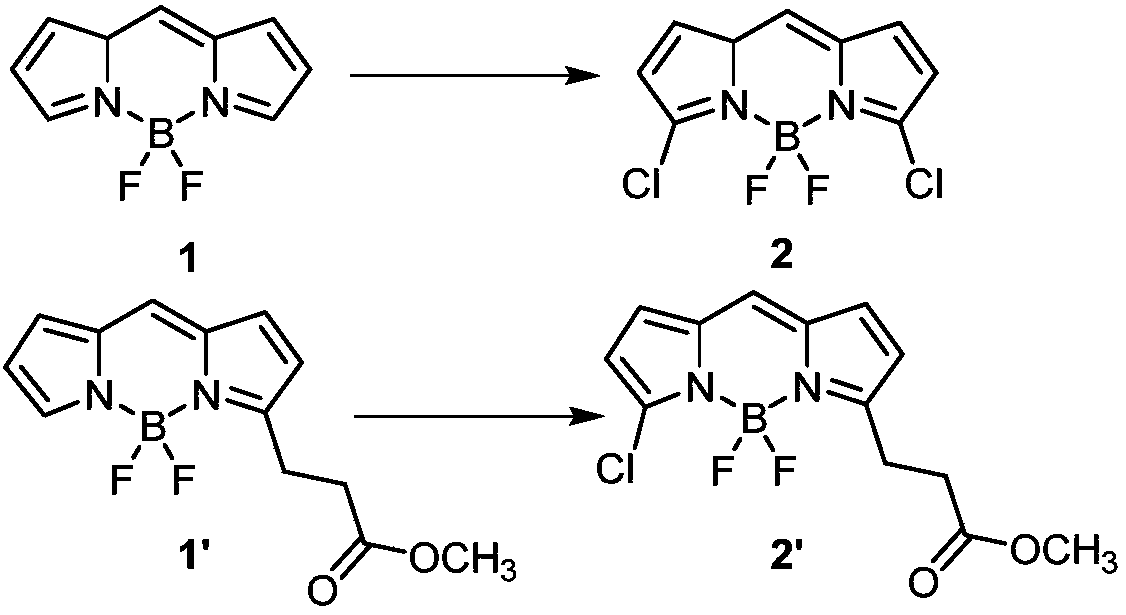 Synthesis method of commercial BODIPY