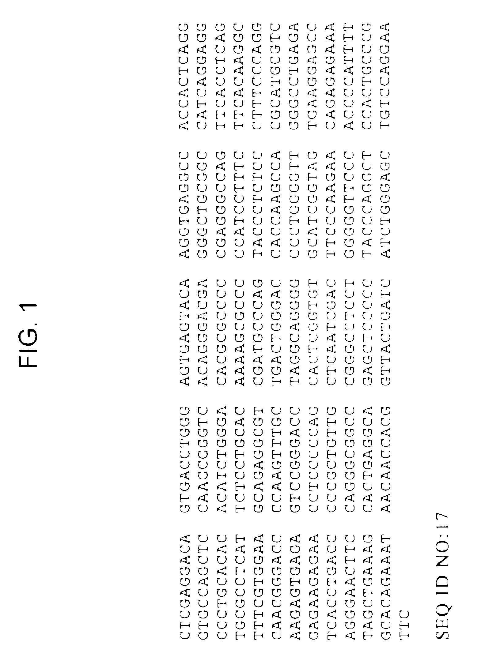 Methods of identifying compounds that modulate IL-4 receptor-mediated IgE synthesis utilizing a CLLD8 protein
