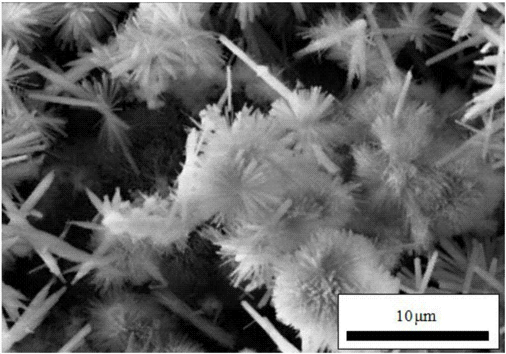Preparation method of zinc-doped hydroxyapatite coating used for magnesium alloy material