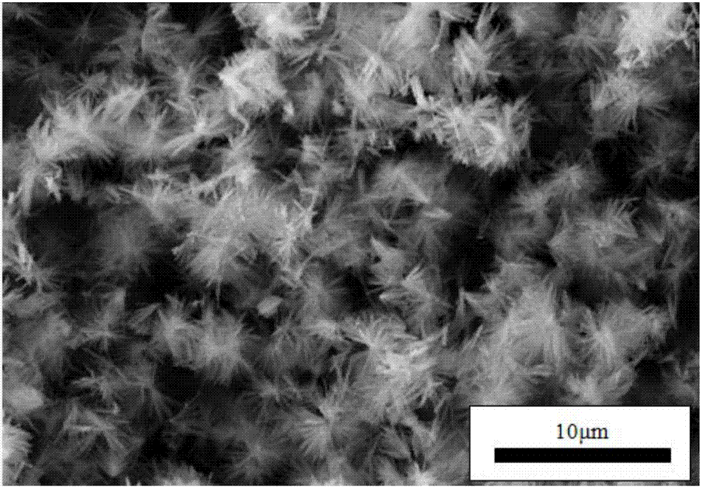 Preparation method of zinc-doped hydroxyapatite coating used for magnesium alloy material