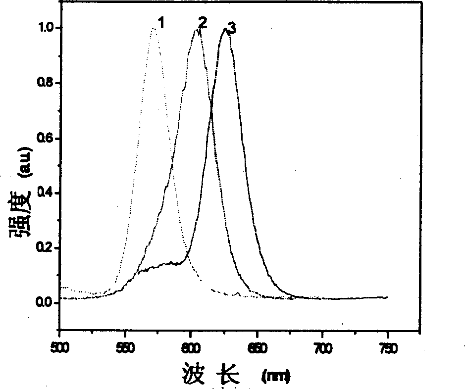 Preparation method of CdSe nanometer crystal composite liposome microcapsule bubble used for fluorescence immunity detection