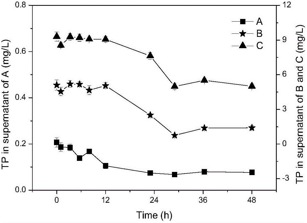 Application of pseudoalteromonas sp. to preparation of nano-material