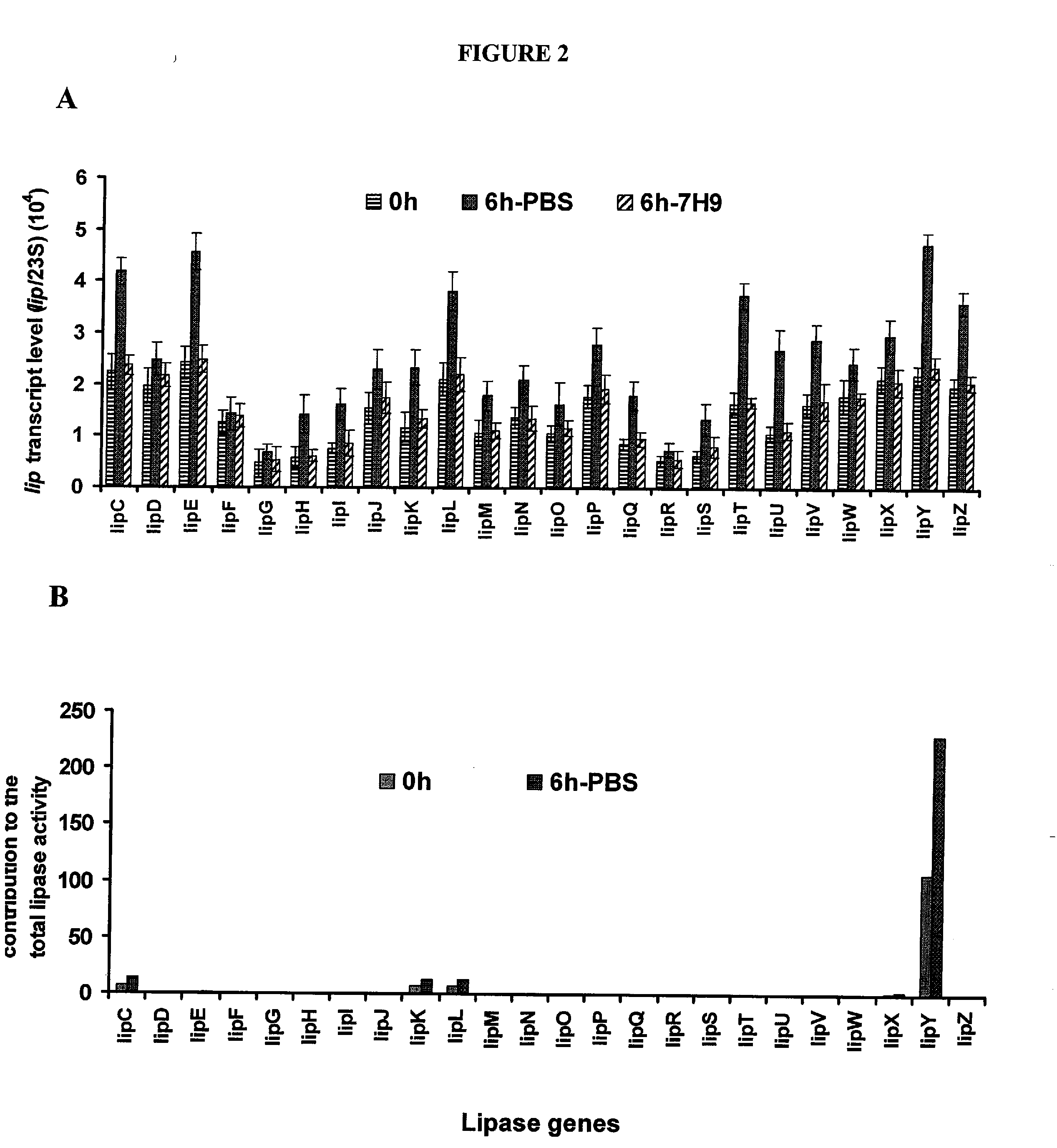 Targeting of long chain triacylglycerol hydrolase gene for tuberculosis treatment