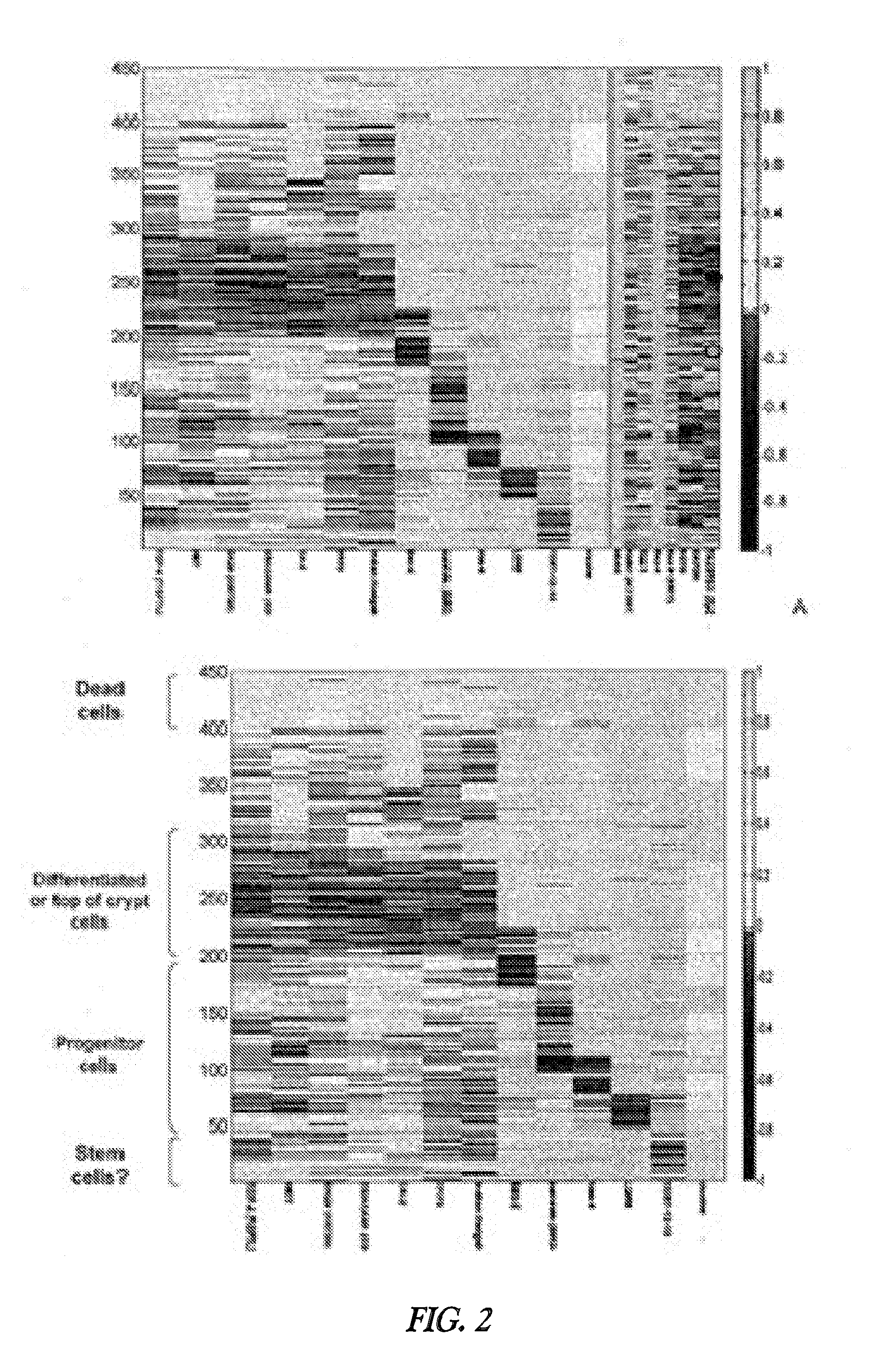 Methods and systems for analysis of single cells