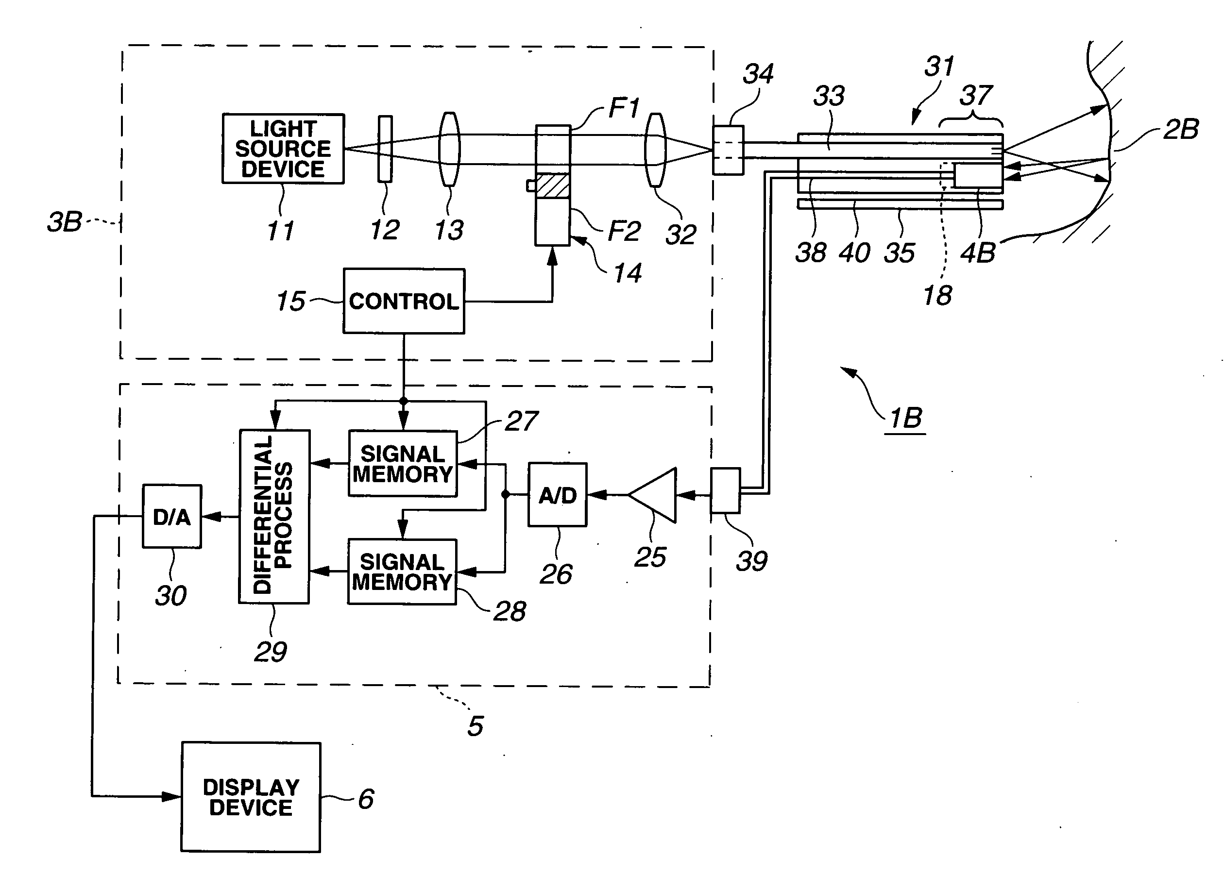 Raman scattering light observation apparatus and endoscope apparatus
