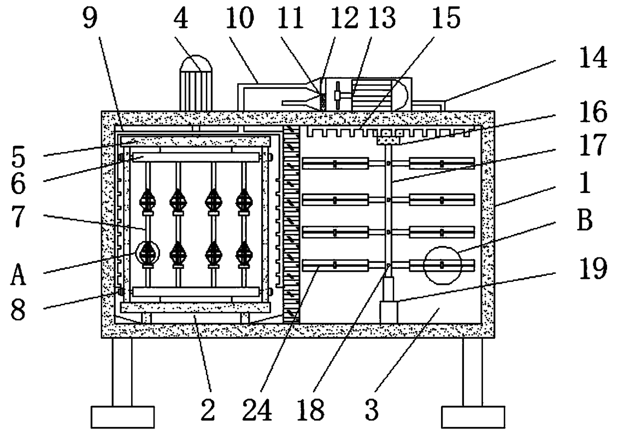 Drying apparatus for processing tilapia mossambica