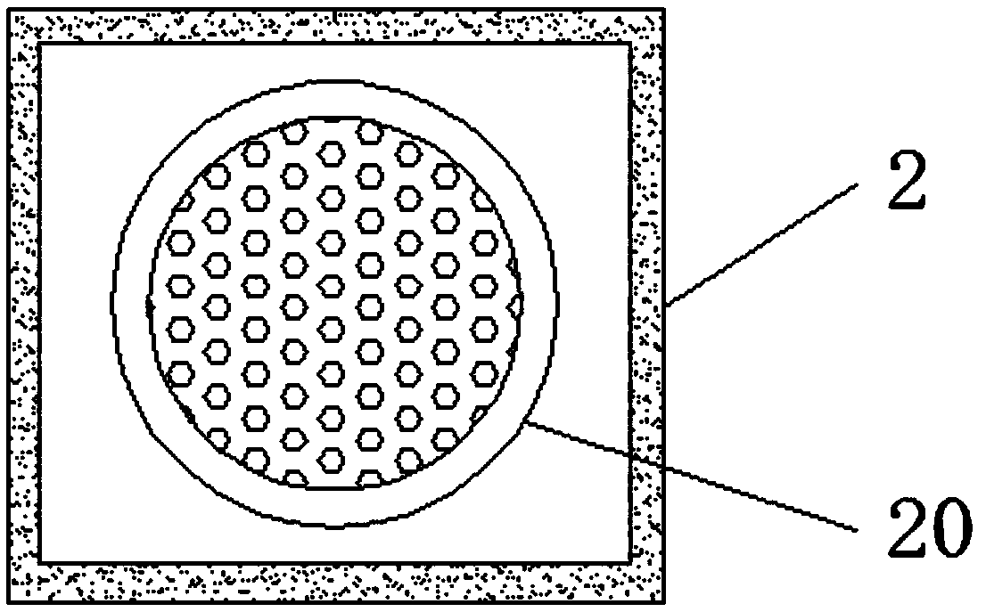 Drying apparatus for processing tilapia mossambica