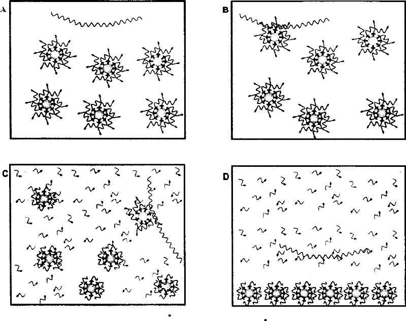 Detection probe and detection method for nucleic acid aim sequence