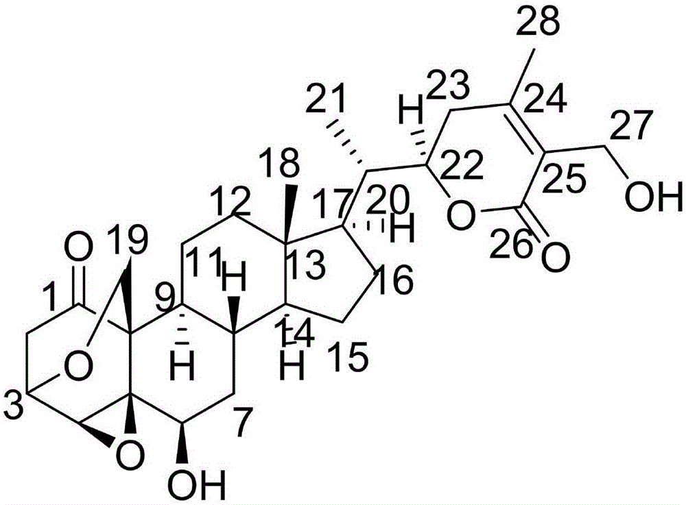 Novel withanolides compound, novel withanolides compound preparation method and medical application of novel withanolides compound