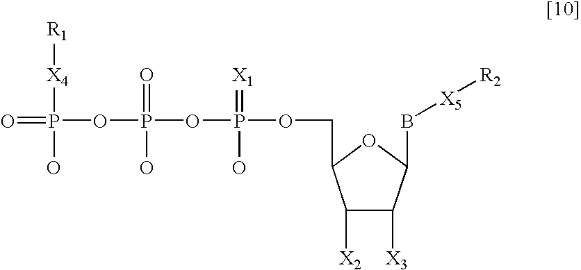 Nucleotide analogs