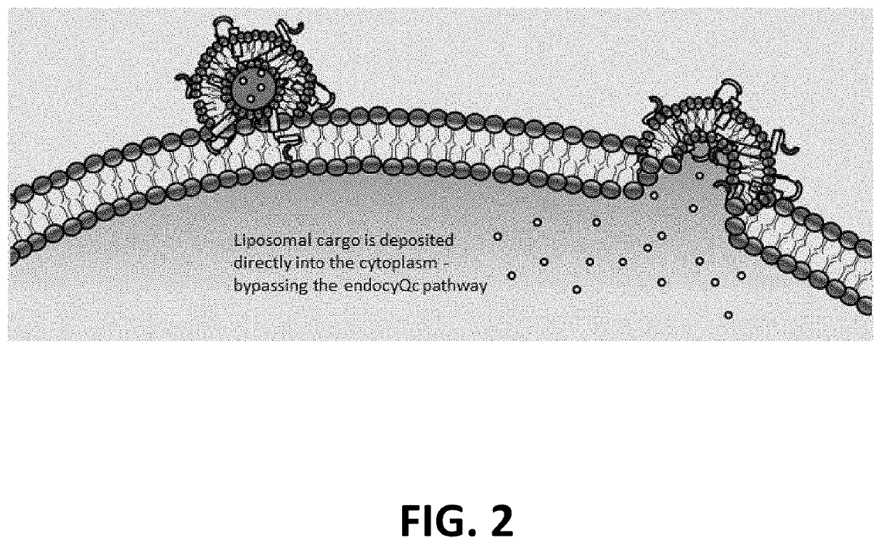 Fusogenic lipid nanoparticles for the target cell-specific production of rapamycin inducible therapeutic proteins