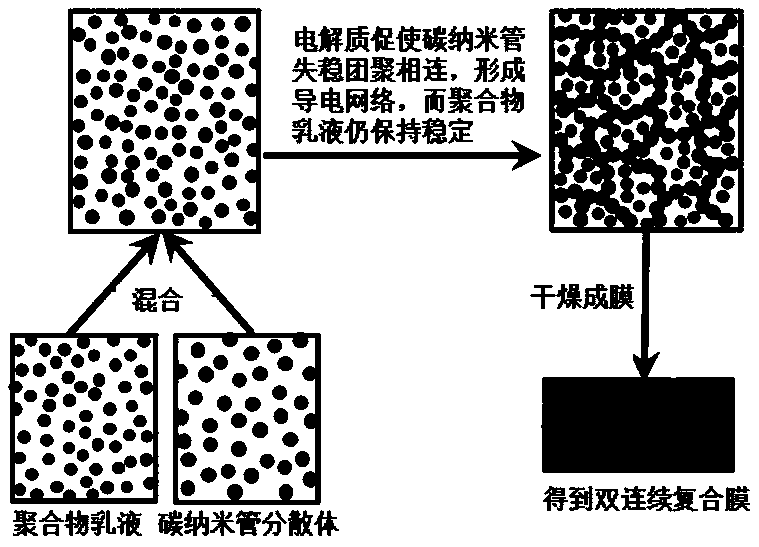 Carbon nanotube polymer composite conductive material and preparation method thereof