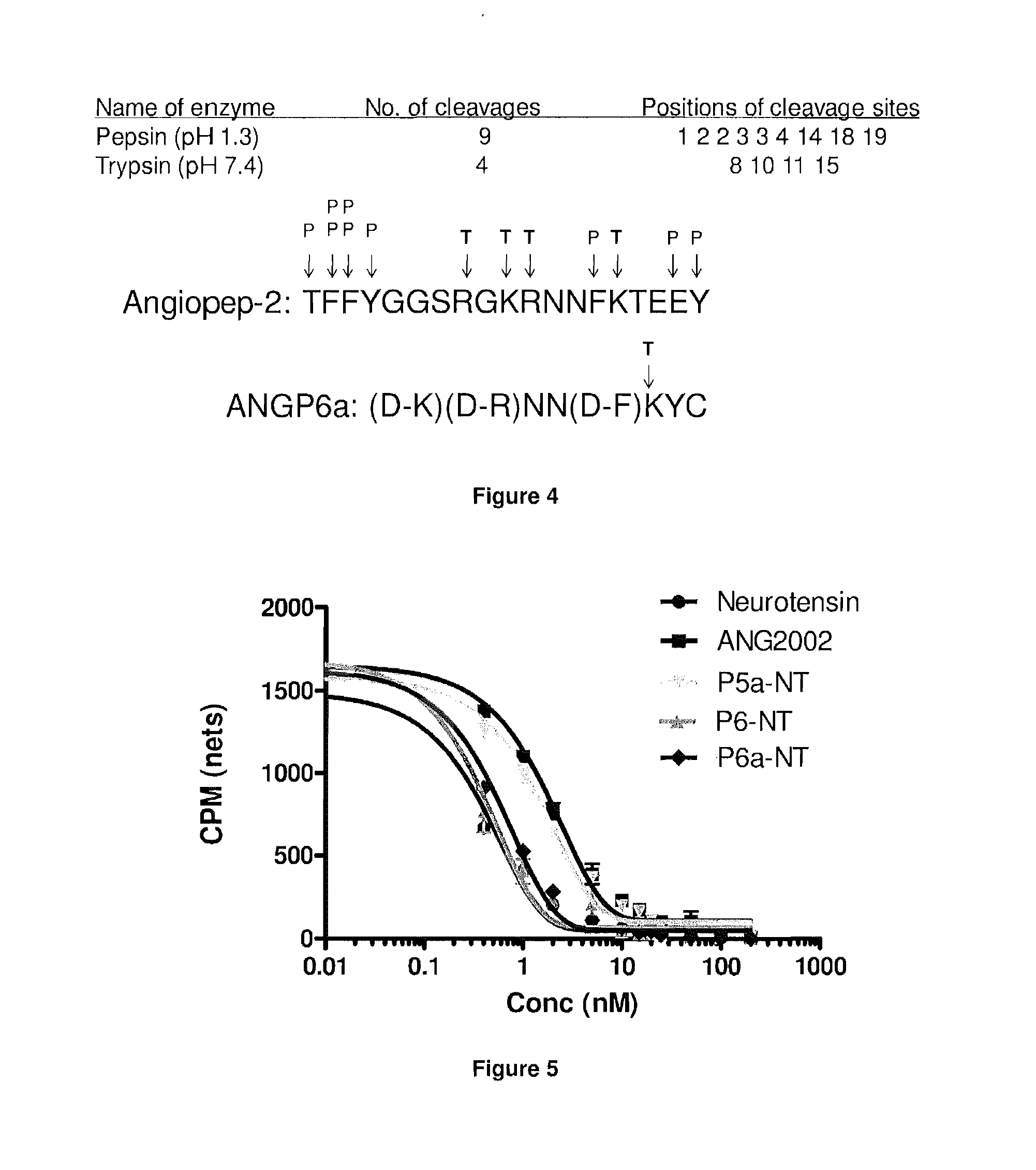 Short and d-amino acid-containing polypeptides for therapeutic conjugates and uses thereof