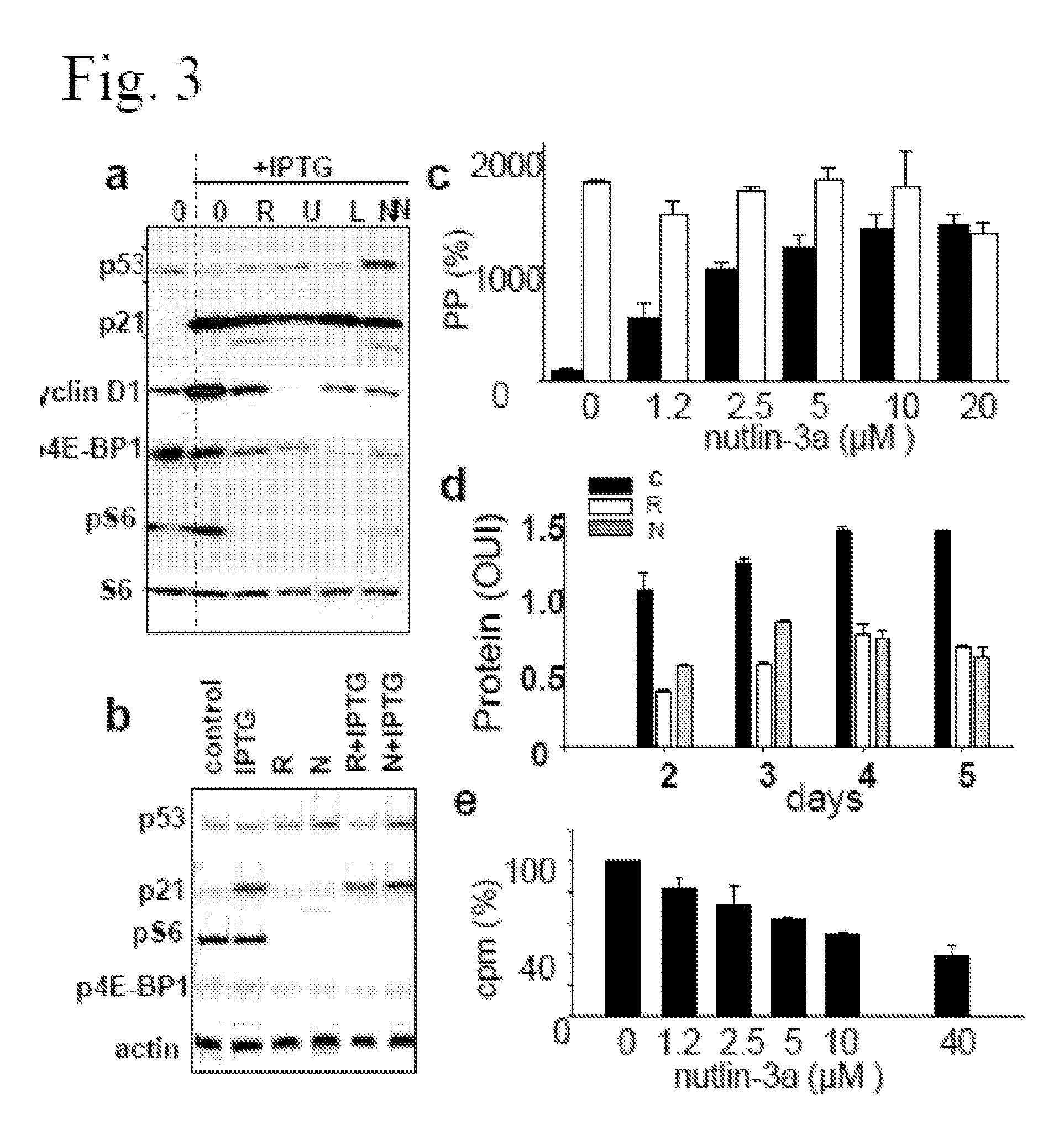 Method and Compositions for Suppression of Aging