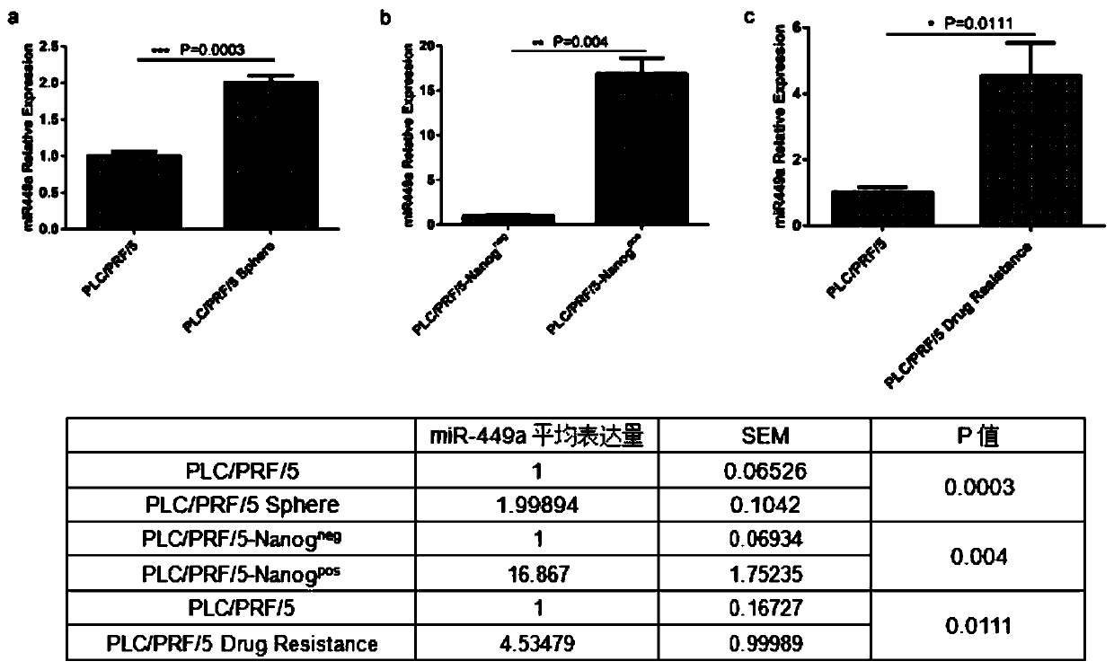 Reagent for interfering with expression of hsa-mir-449a and application thereof