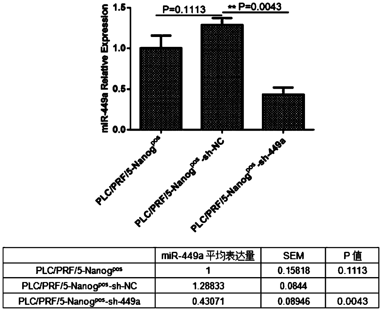 Reagent for interfering with expression of hsa-mir-449a and application thereof