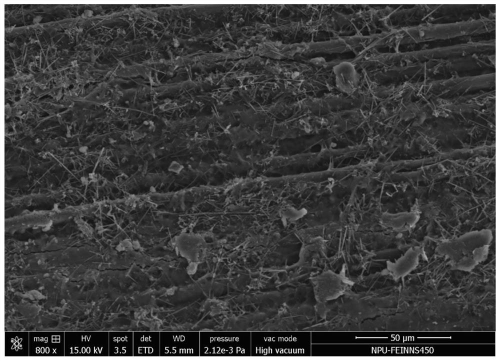 Carbon fiber/nanofiber synergistic tough ceramic matrix composite material and preparation method thereof