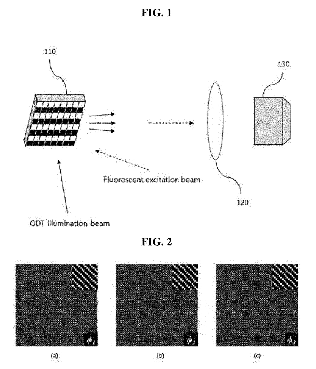 3D refractive index tomography and structured illumination microscopy system using wavefront shaper and method thereof