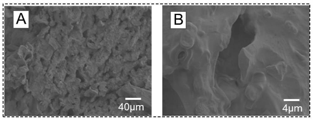 A kind of biomass water treatment agent based on porous coffee grounds and preparation method thereof