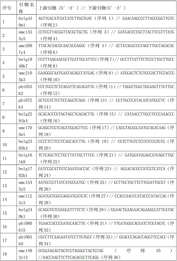 Seed Production Method of Jingnongke 728 Three-line Matching Hybrid