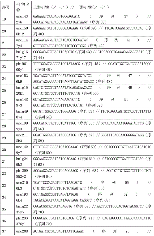 Seed Production Method of Jingnongke 728 Three-line Matching Hybrid