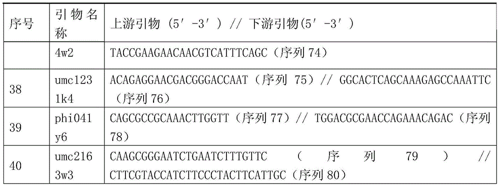 Seed Production Method of Jingnongke 728 Three-line Matching Hybrid