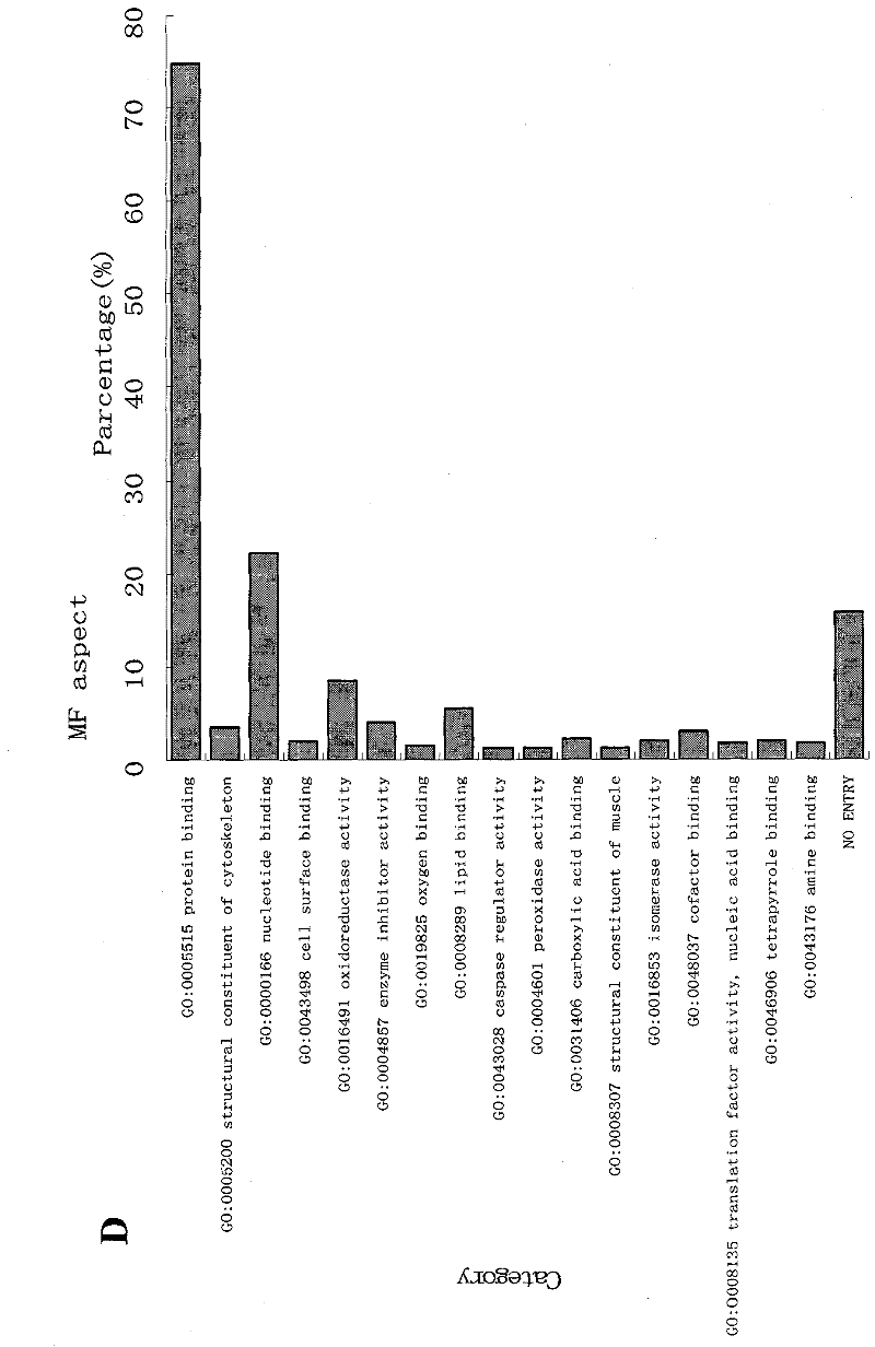 Oligoden droglioma (OG) marker MAP2 (microtubuleassociated protein 2) protein and use thereof