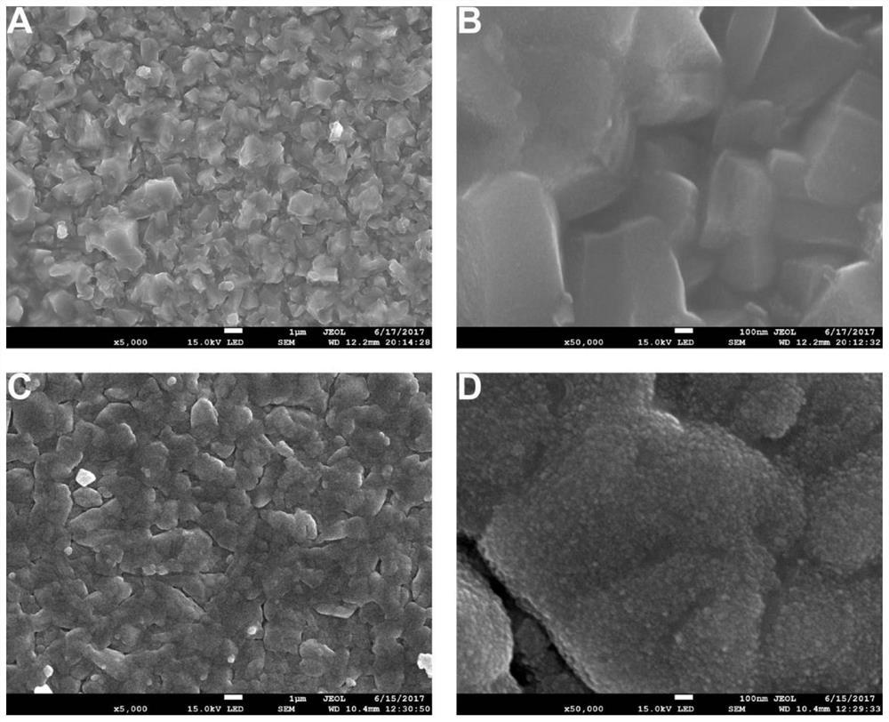 A red phosphorus/zinc oxide heterojunction film using screen LED photocatalytic disinfection, preparation method and application