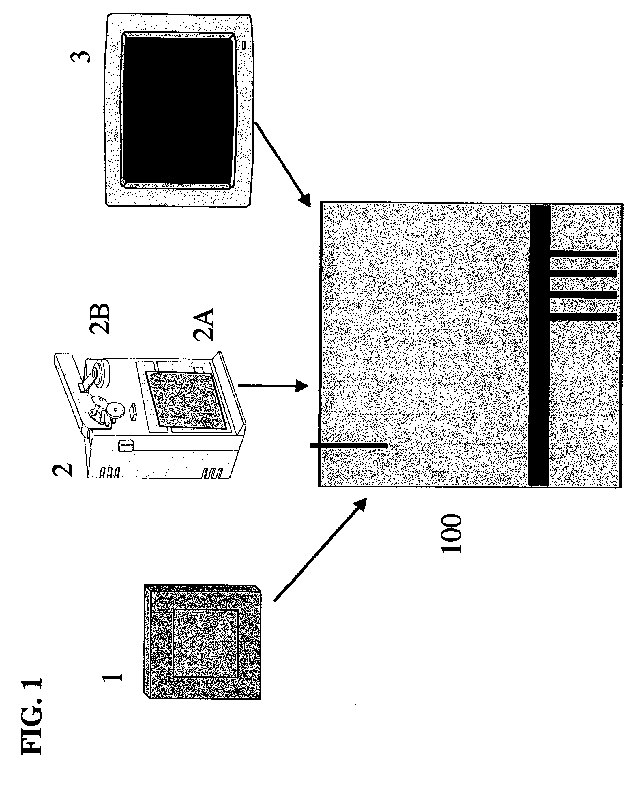 Method, apparatus and processes for real-time interactive online ordering and re-ordering and over the counter purchasing with rebate, saving, and investing processes