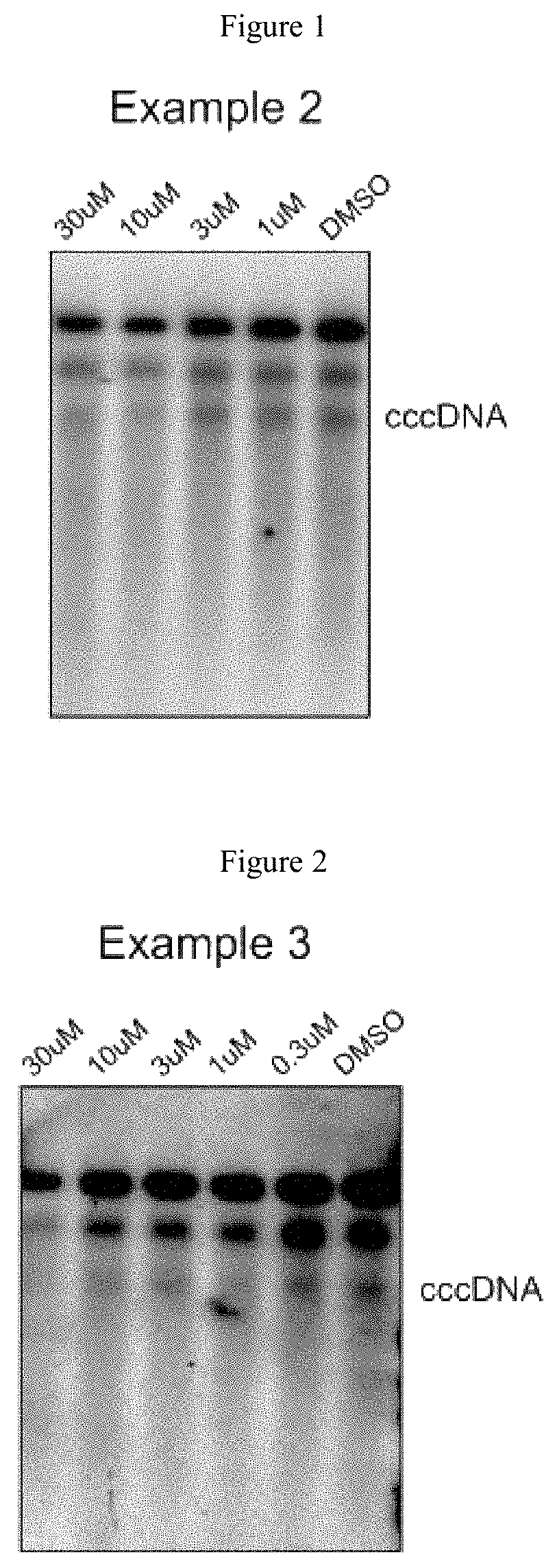 Xanthone derivatives for the treatment of hepatitis B virus disease