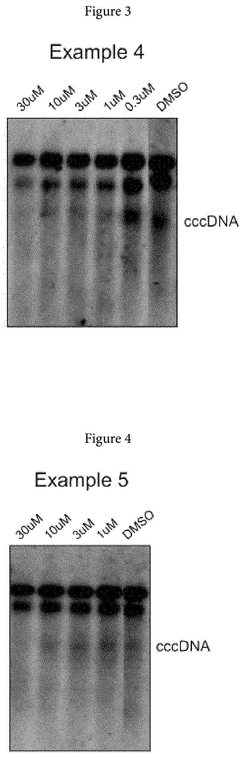 Xanthone derivatives for the treatment of hepatitis B virus disease