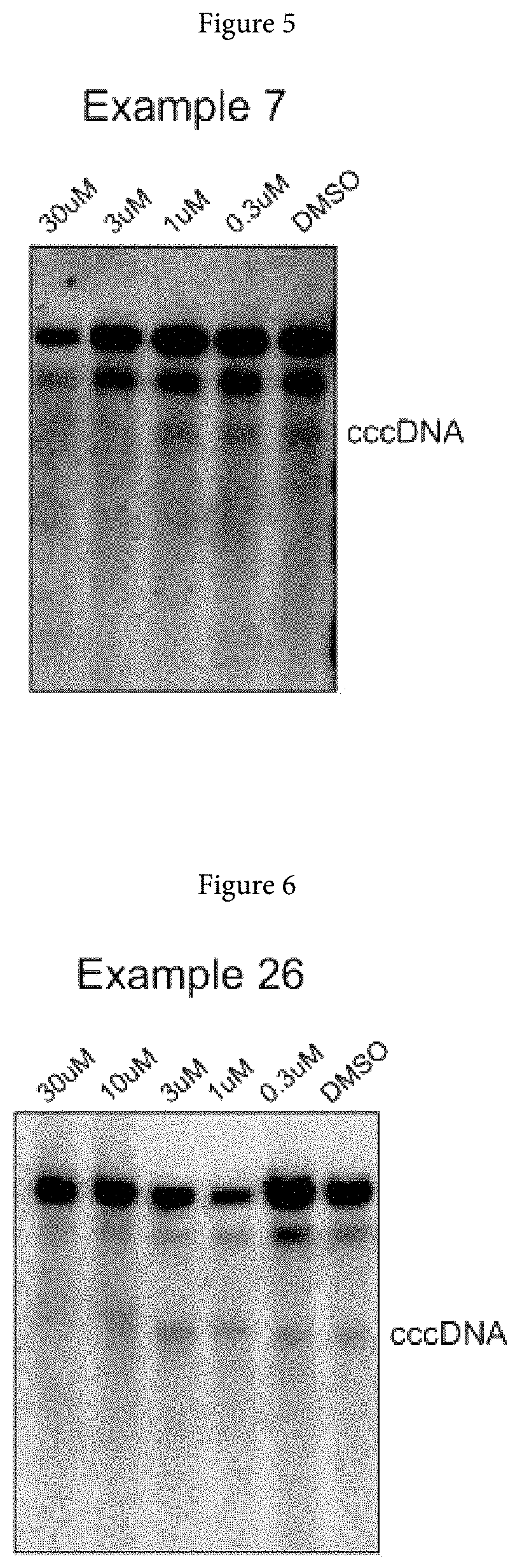 Xanthone derivatives for the treatment of hepatitis B virus disease