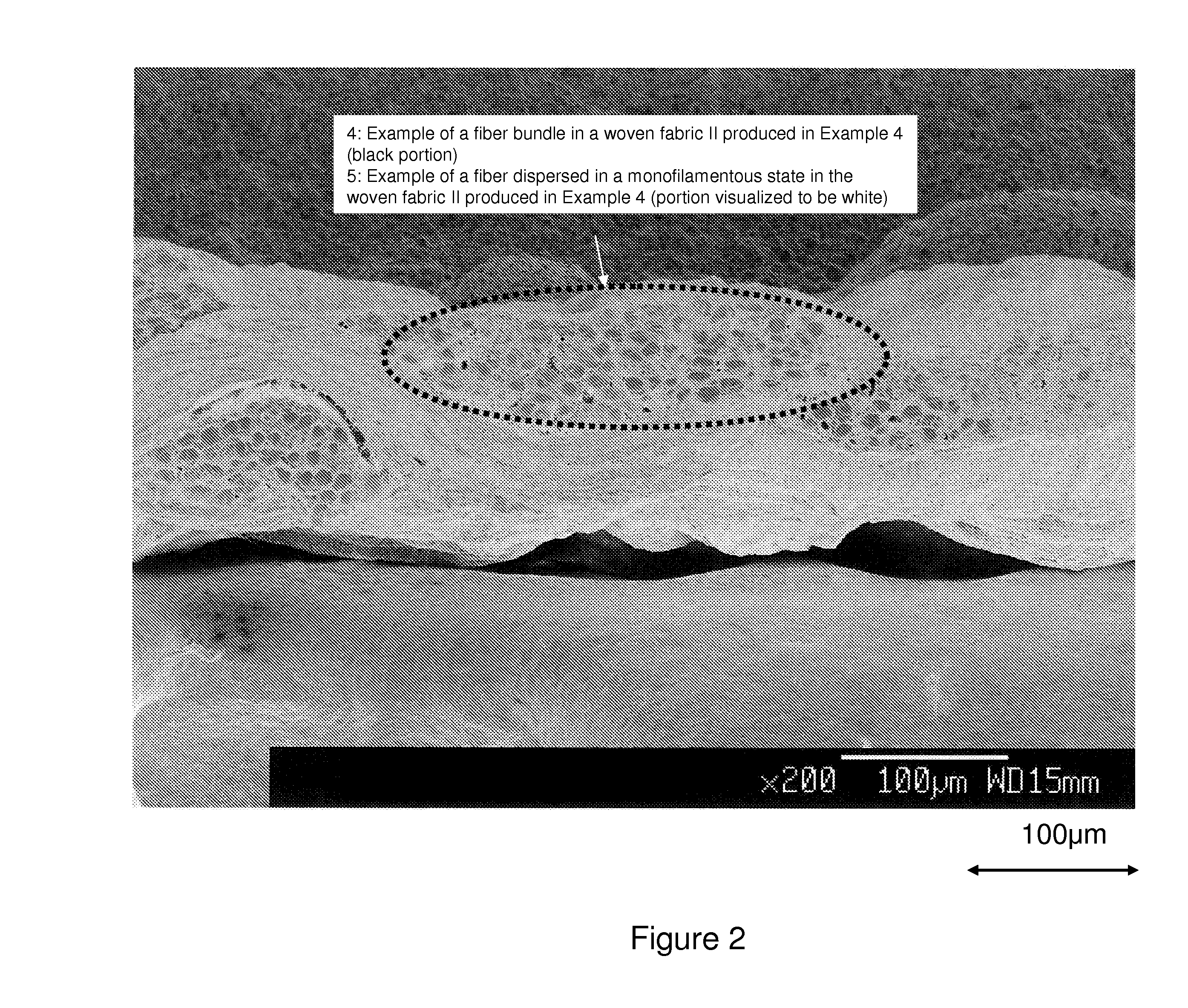Fiber structure and method for production thereof