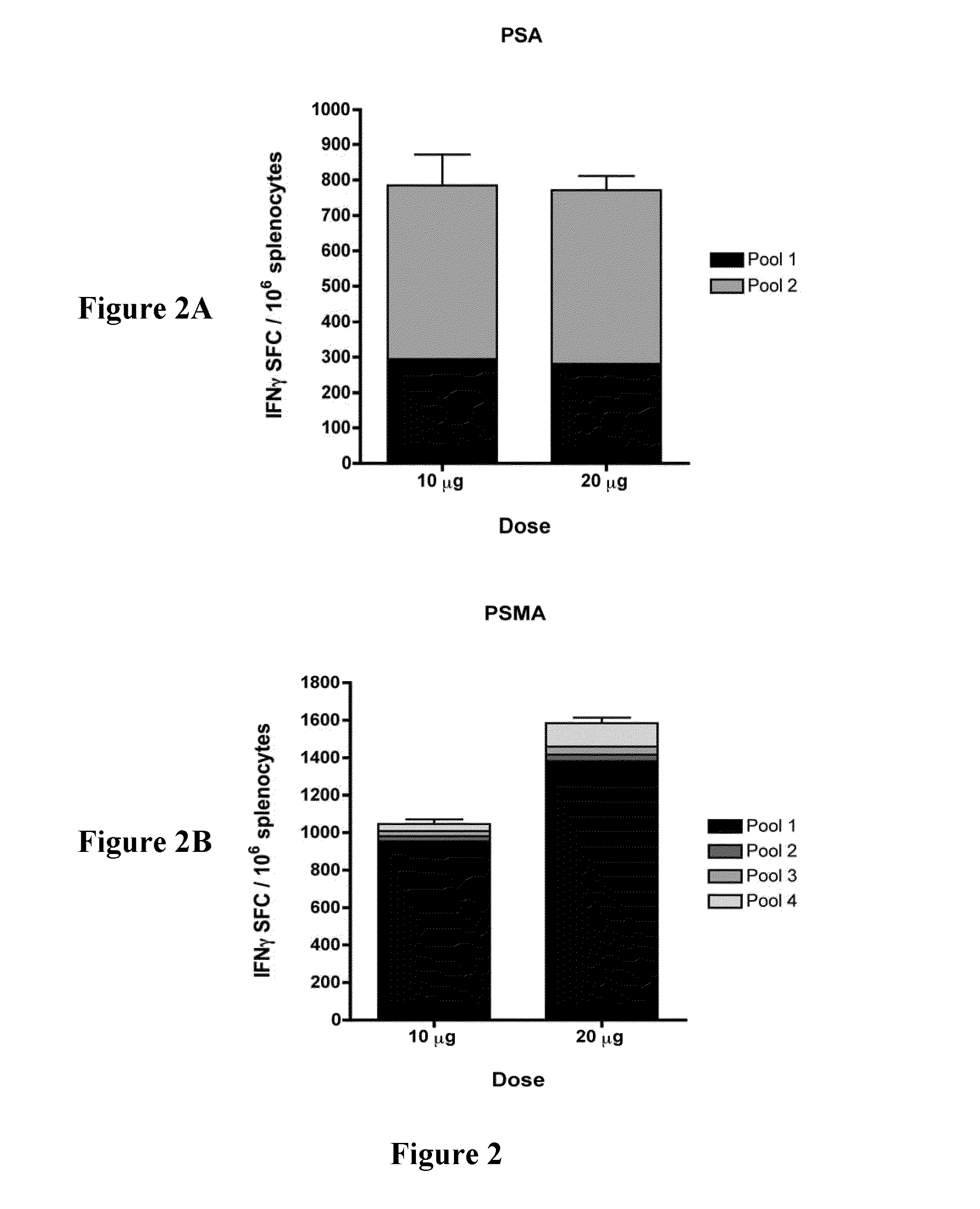 Consensus Prostate Antigens, Nucleic Acid Molecule Encoding The Same And Vaccine And Uses Comprising The Same