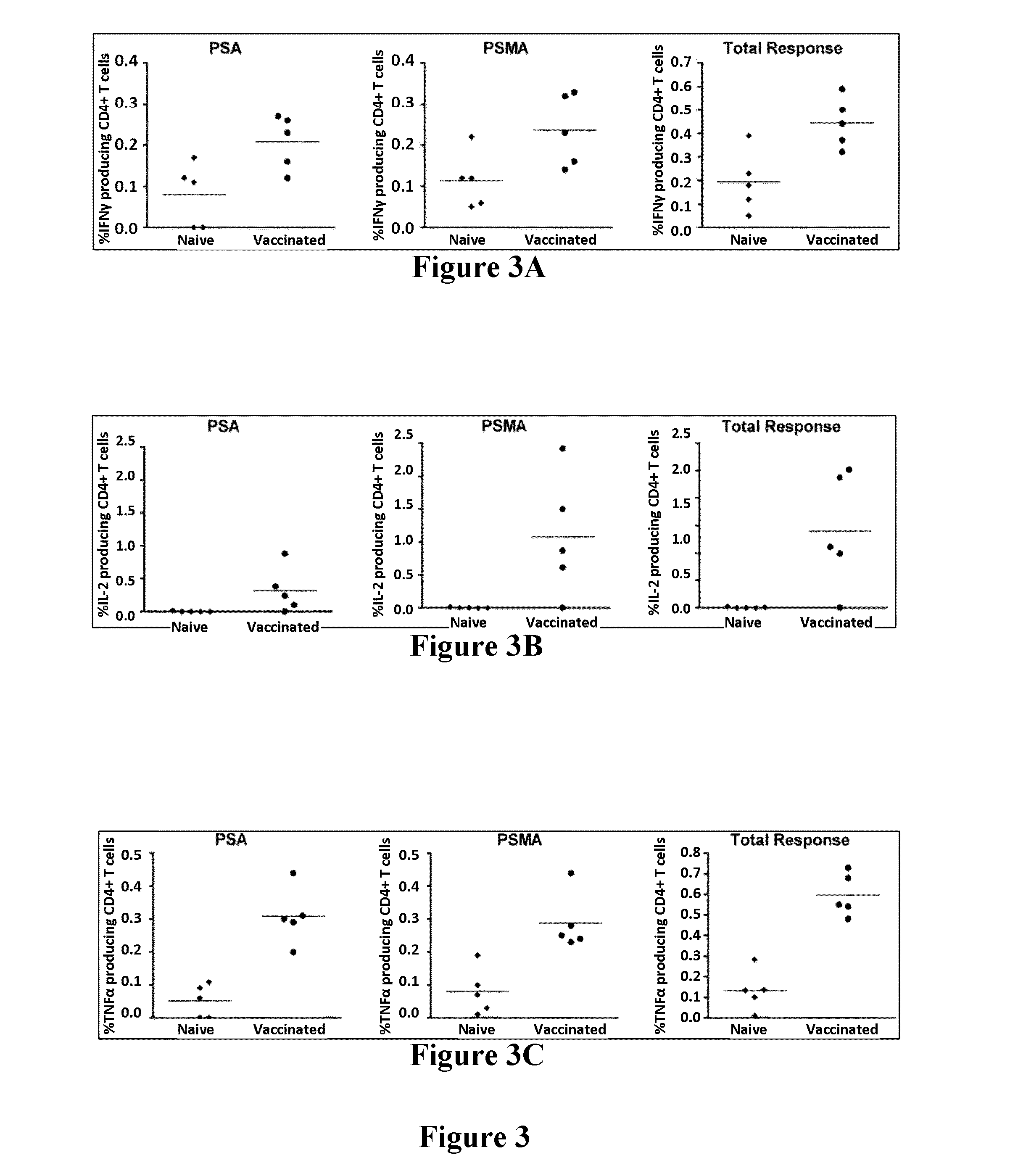 Consensus Prostate Antigens, Nucleic Acid Molecule Encoding The Same And Vaccine And Uses Comprising The Same