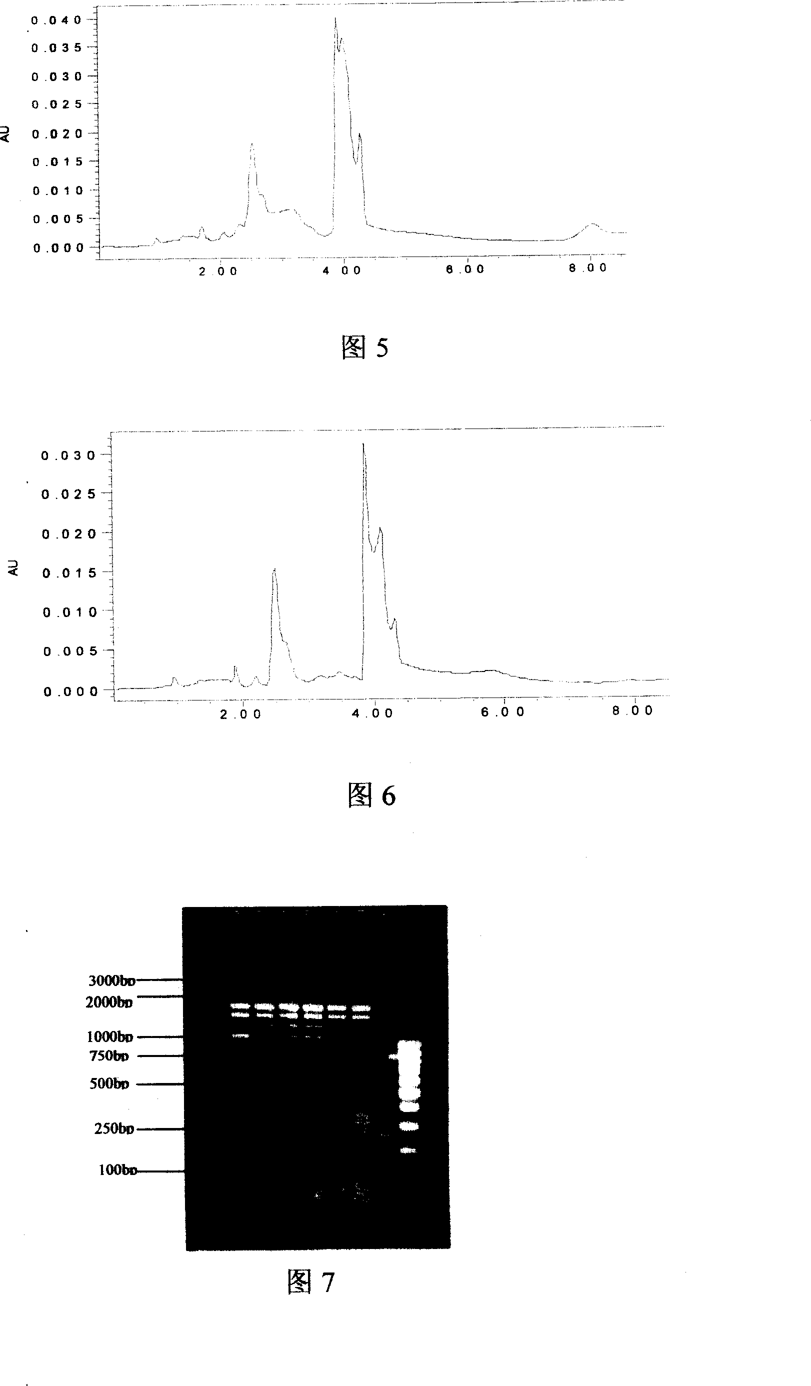 Low temperature conservation method for Chinese mushroom strain