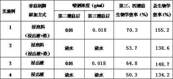 Abalone mushroom culture method