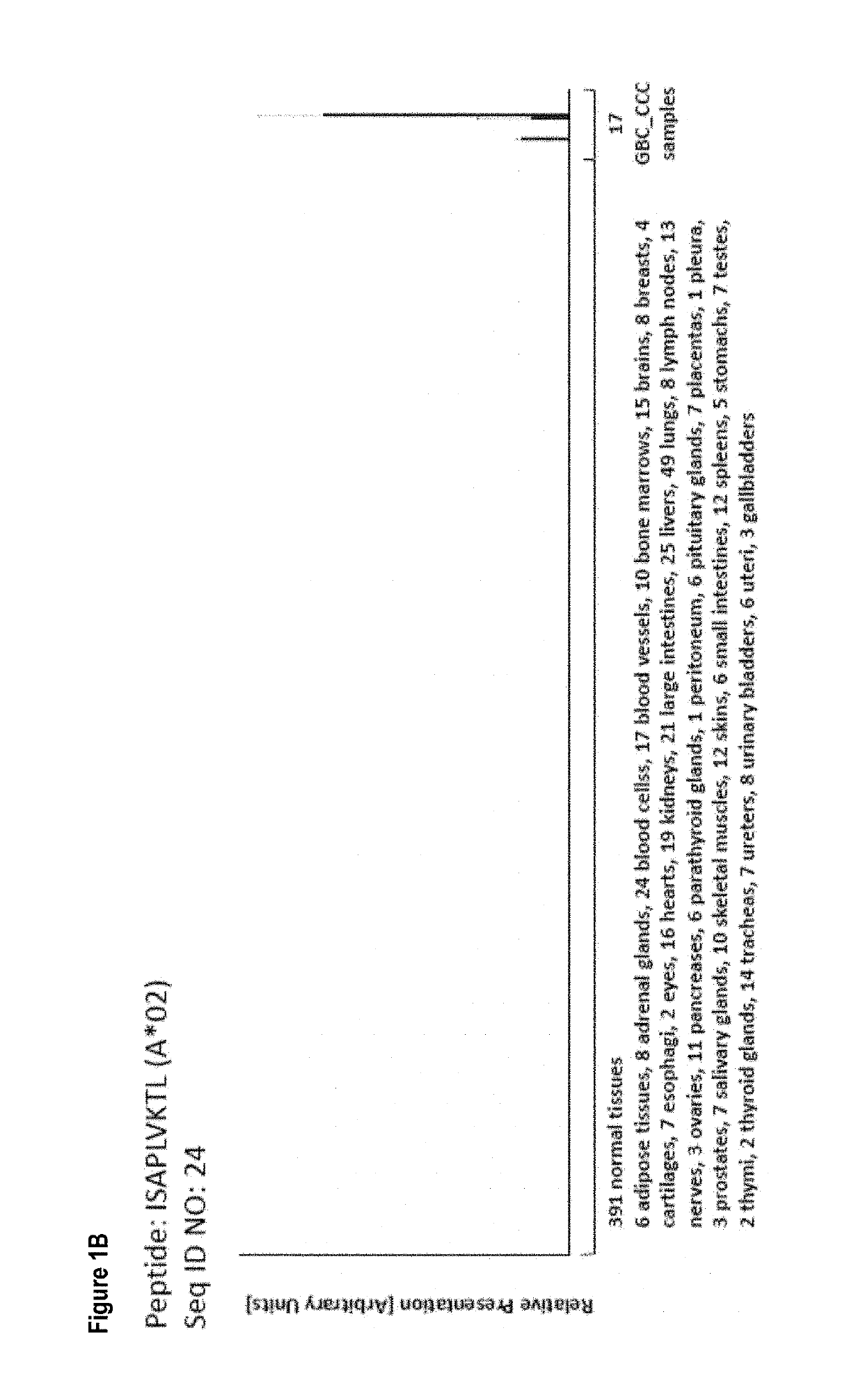 Novel peptides, combination of peptides as targets and for use in immunotherapy against gallbladder cancer and cholangiocarcinoma and other cancers