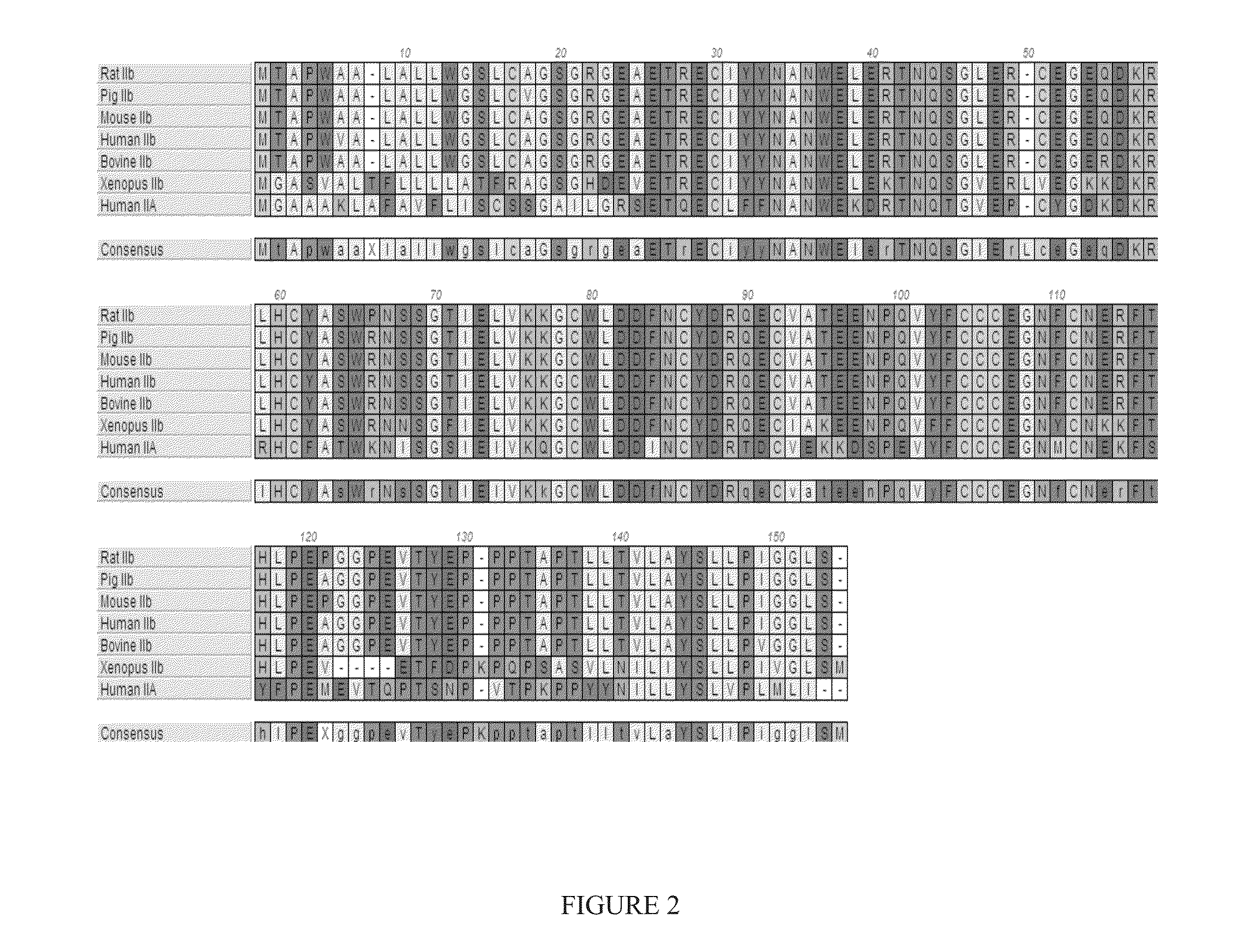 Methods and compositions for treating ulcers