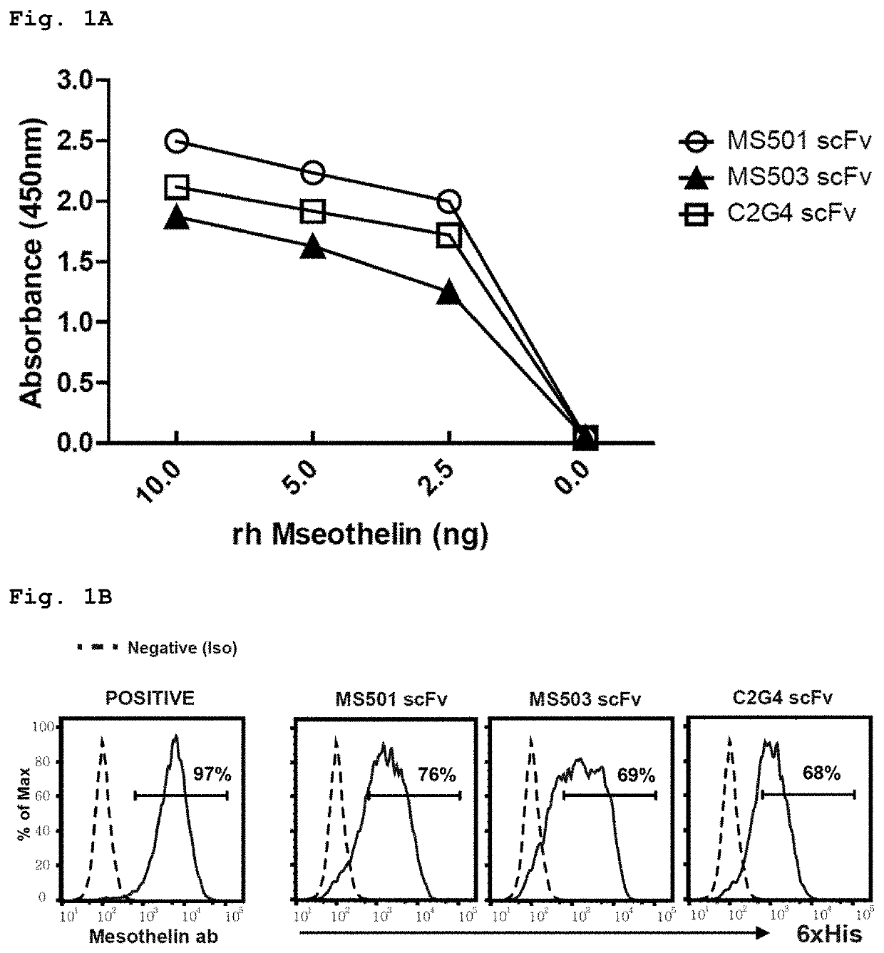 Mesothelin-specific chimeric antigen receptor and t cells expressing same