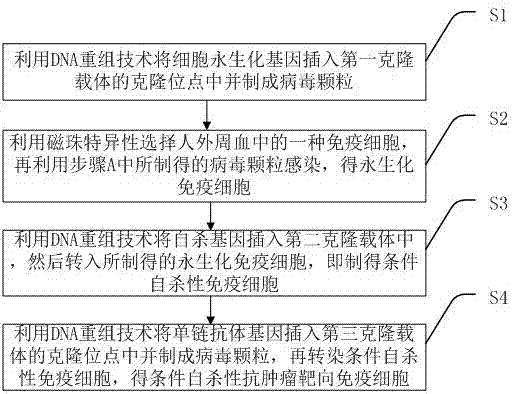 Conditional suicidal anti-tumor targeting immune cell and preparation method thereof