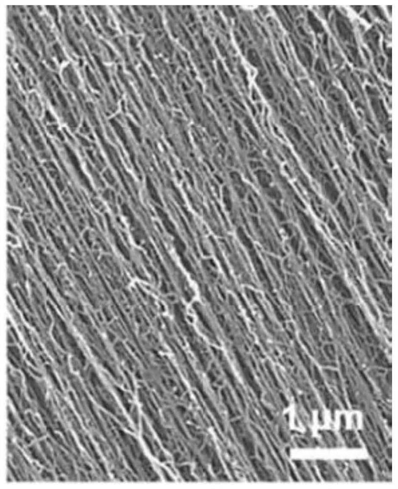 A kind of carbon nanotube thin film and preparation method thereof
