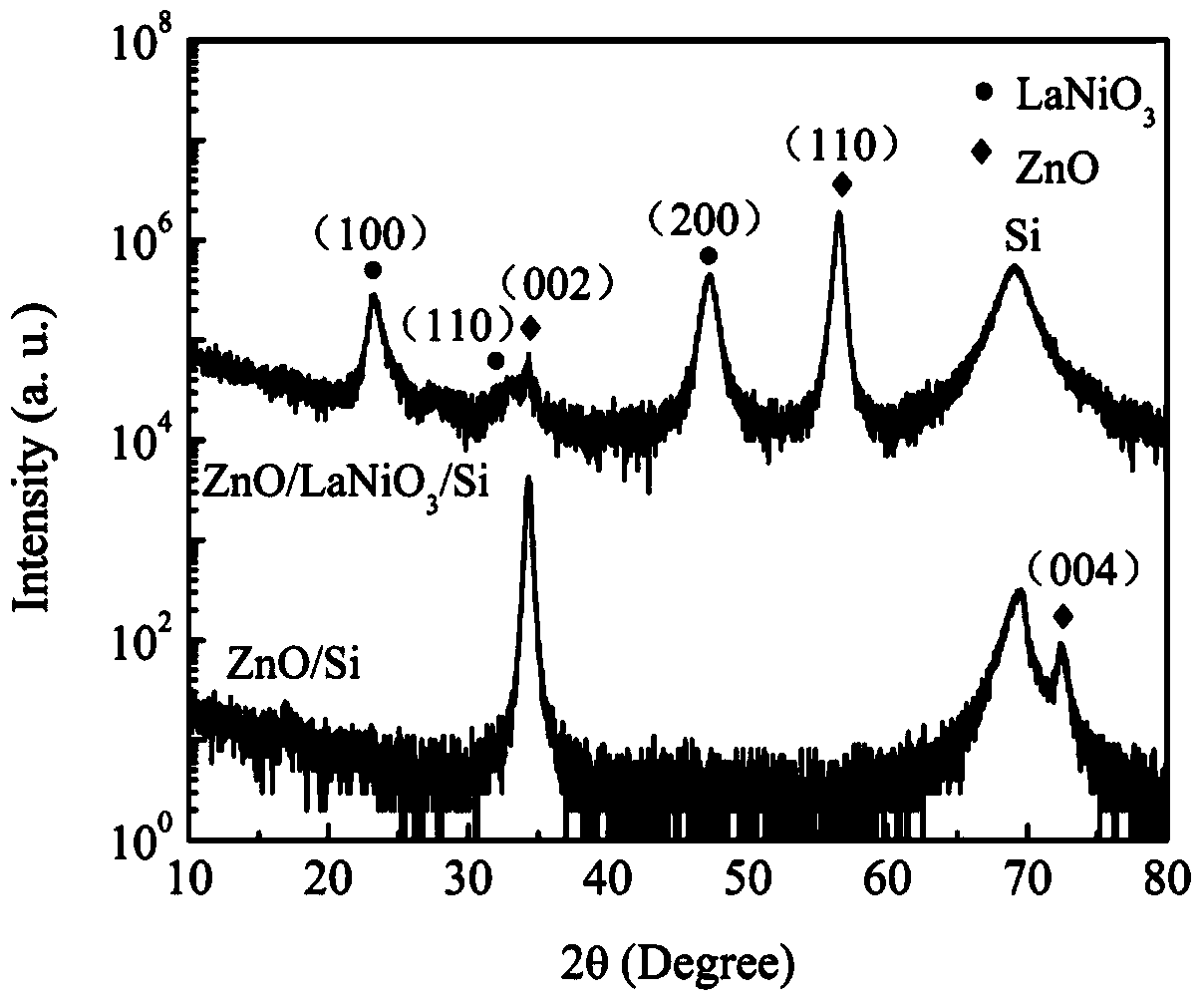 Method for preparing non-polar zinc oxide thin film on silicon-based substrate