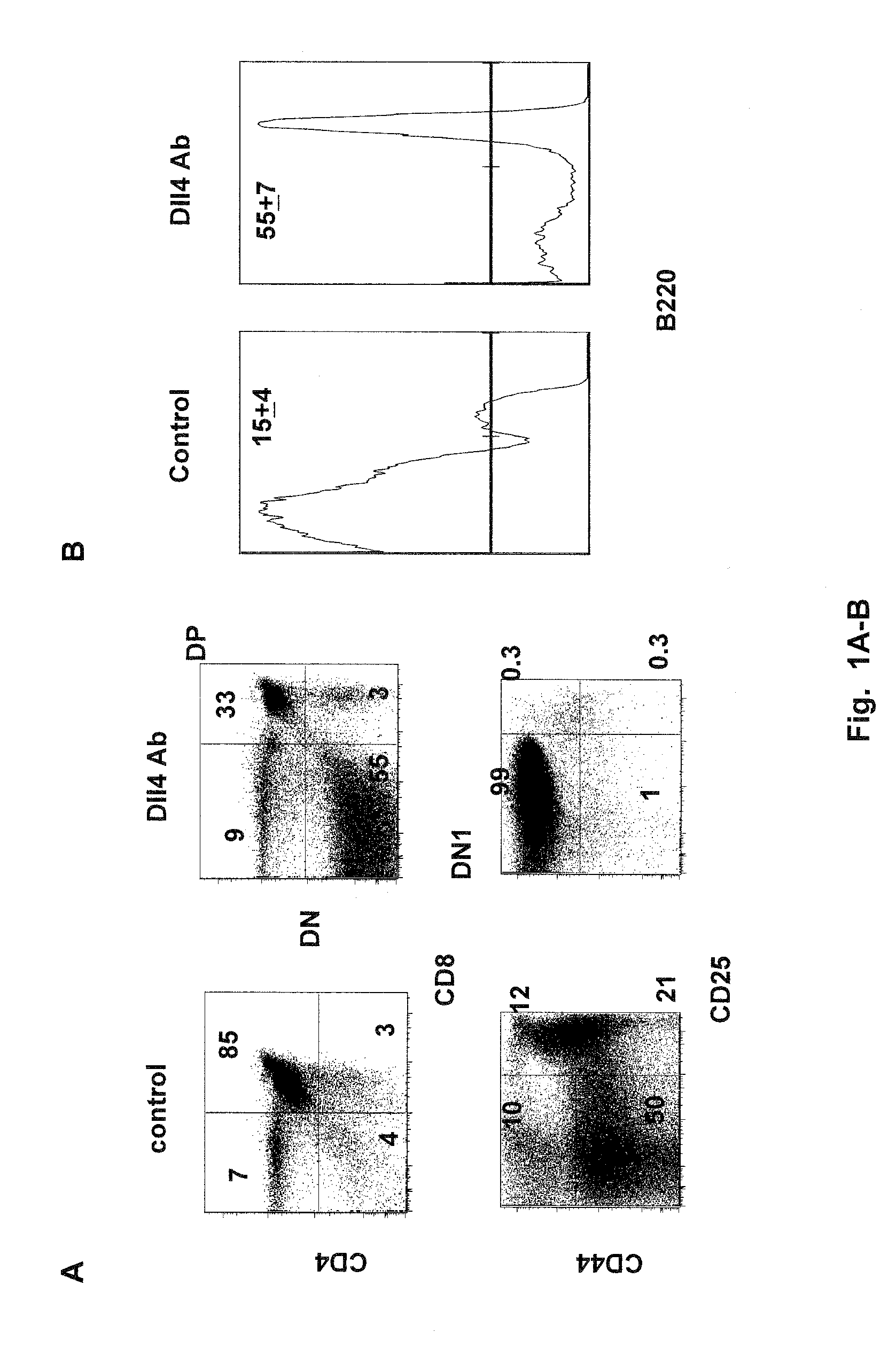 Methods of treating autoimmune diseases with dll4 antagonists