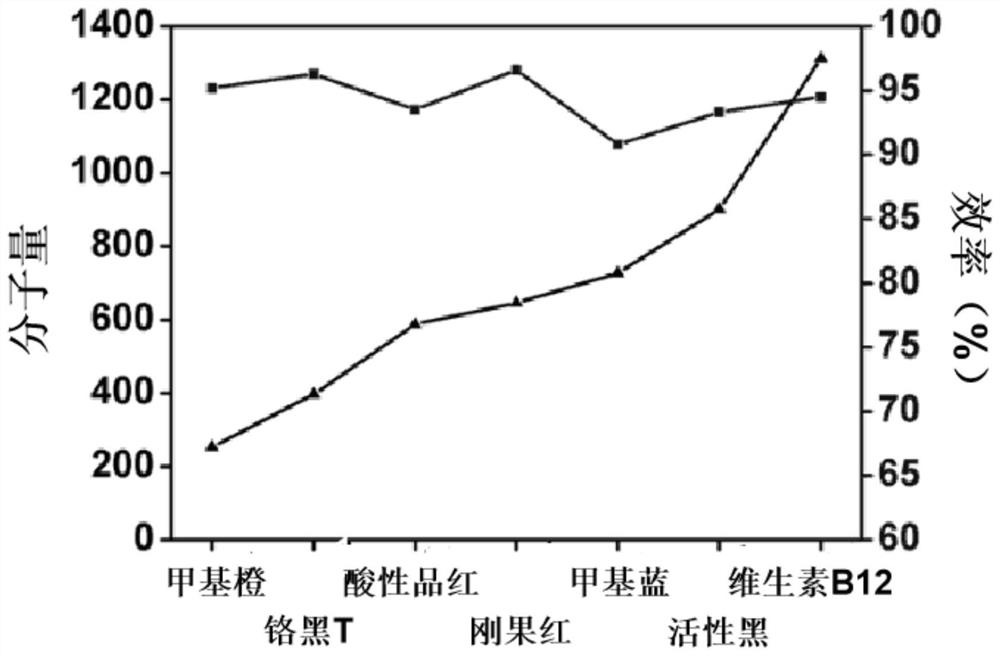 Metal carbon nanotube composite film modified by porous polymer and its preparation method and application