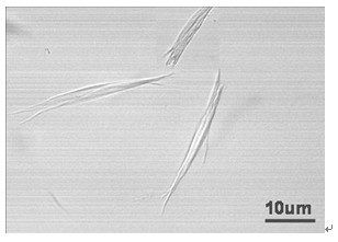 Preparing device for keratin original fibers with forked head ends and method