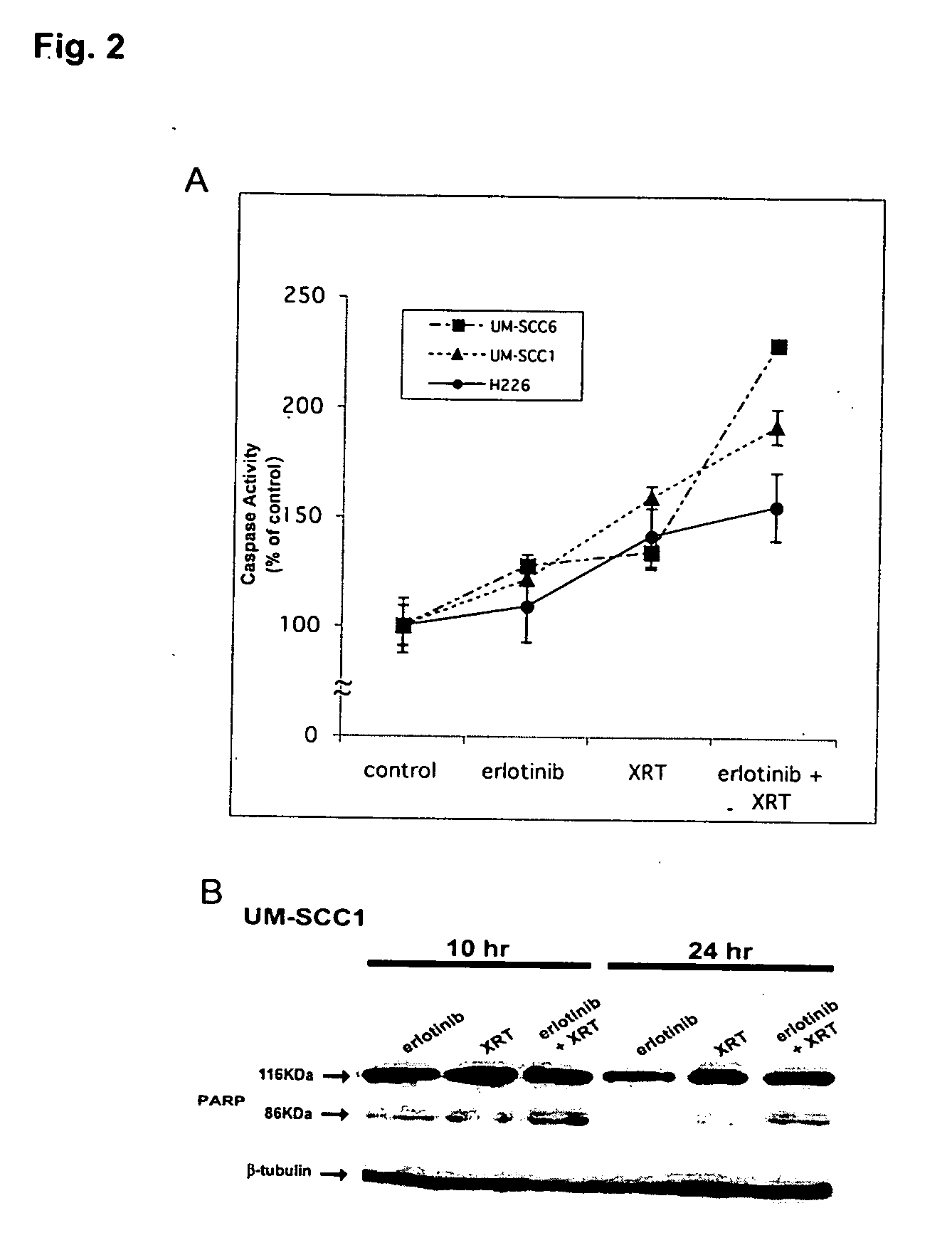 Combined treatment with radiation and an epidermal growth factor receptor kinase inhibitor