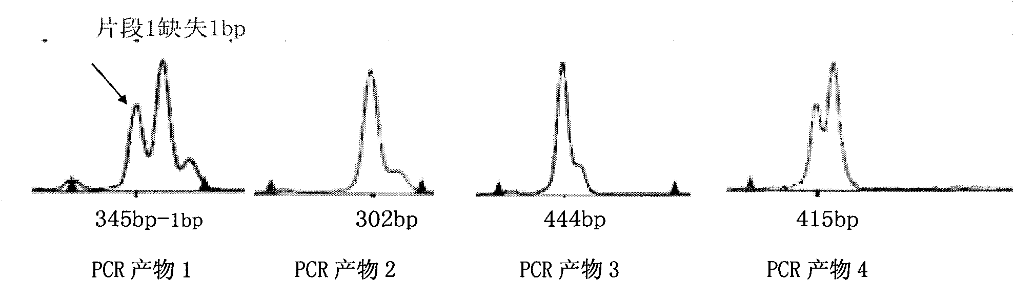 Kit for detecting CEBPA gene mutation