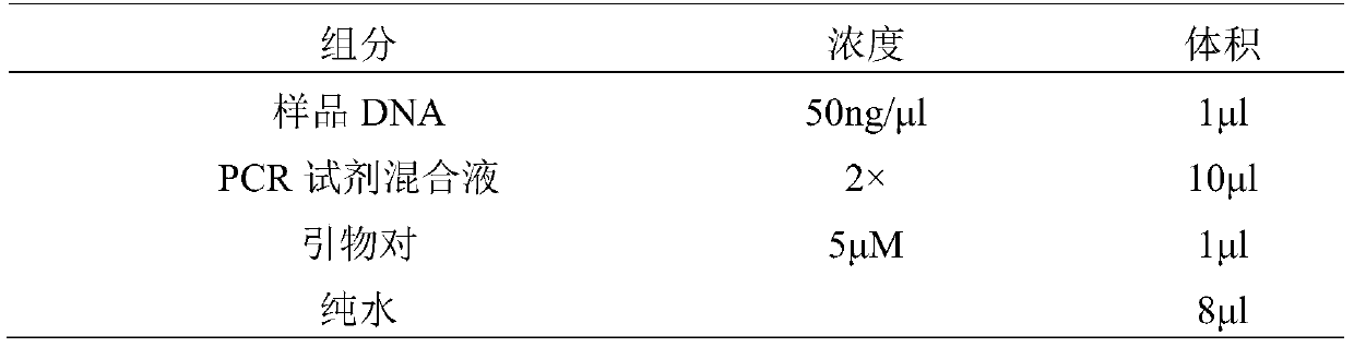 Detection kit for age-related macular degeneration choroidal polypoid vascular disease